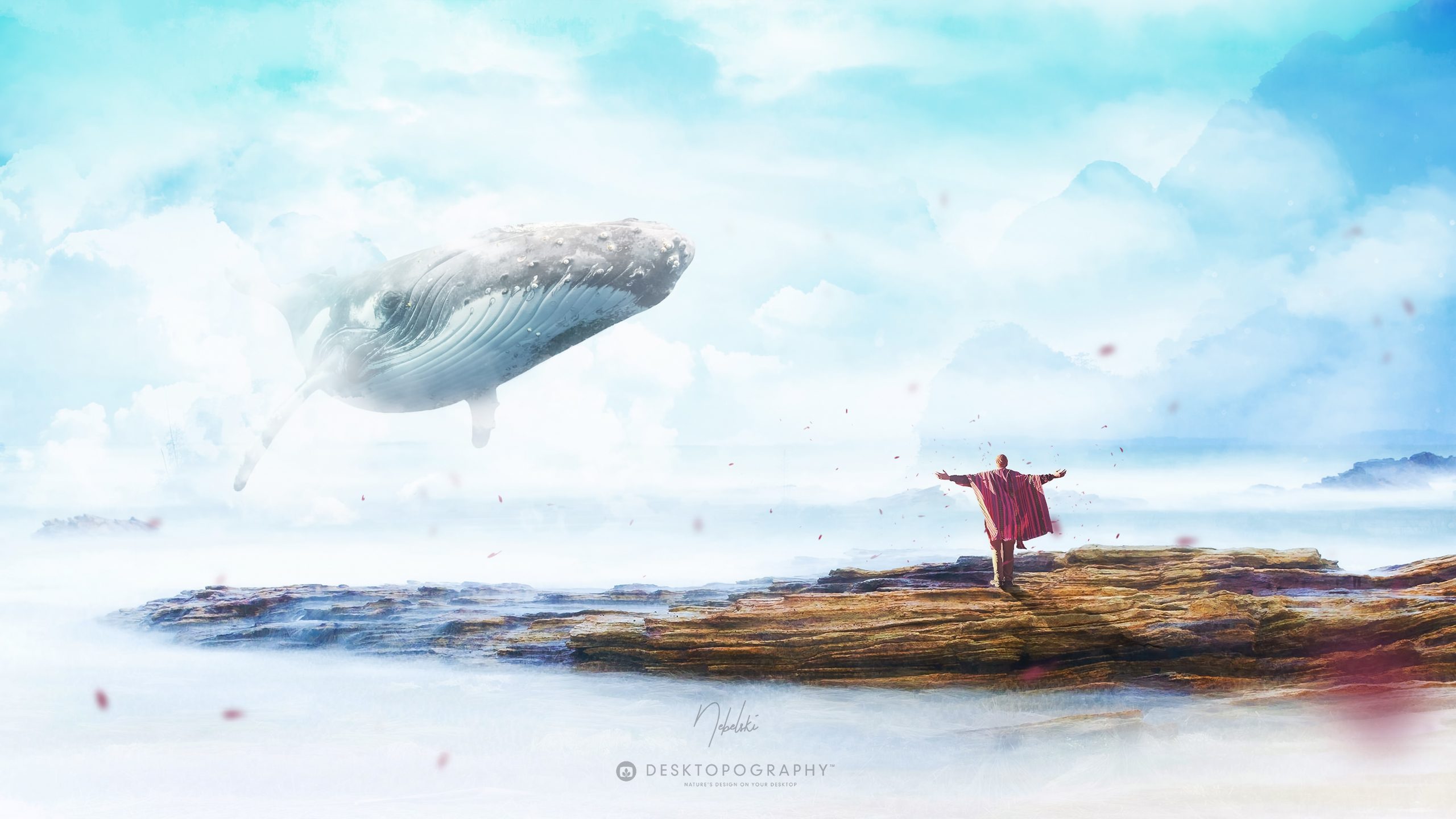 Freedom is Creation