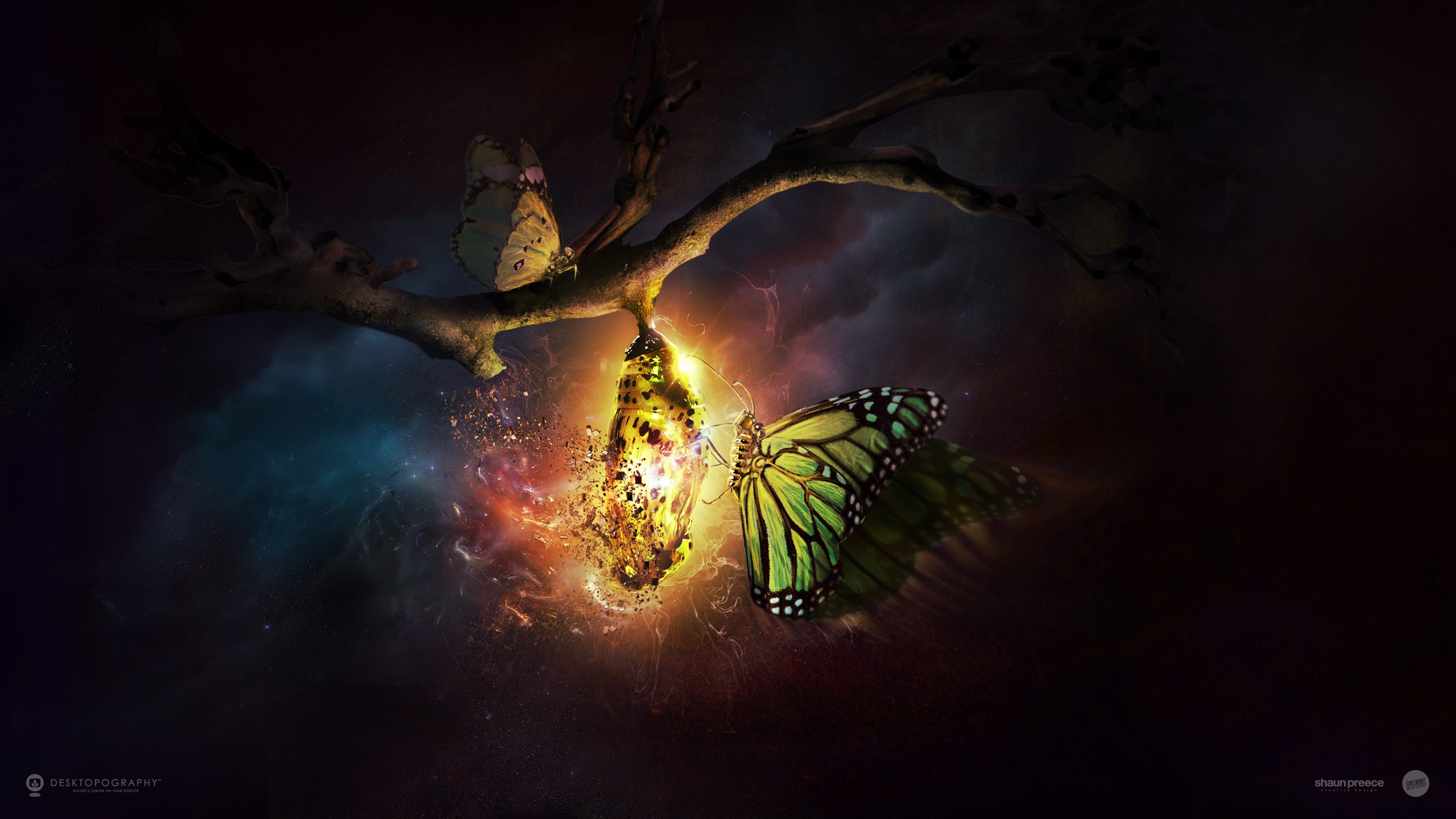 Metamorphosis